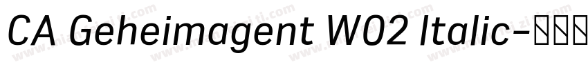 CA Geheimagent W02 Italic字体转换